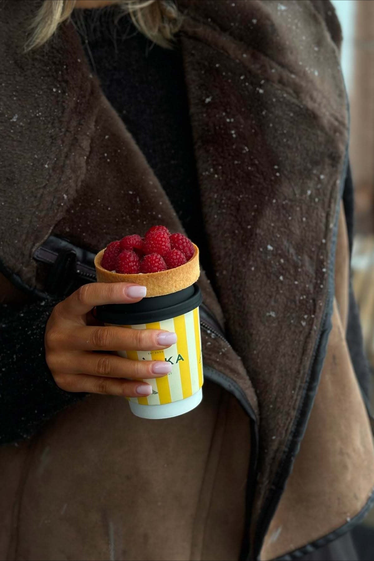 Alicia Faux Fur Vest